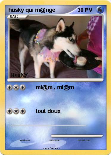 Pokemon husky qui m@nge