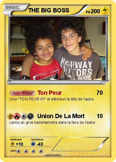 Pokemon THE BIG BOSS