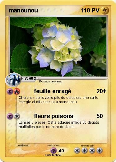 Pokemon manounou