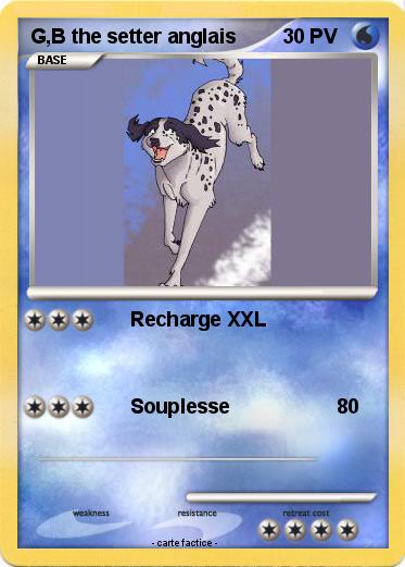 Pokemon G,B the setter anglais
