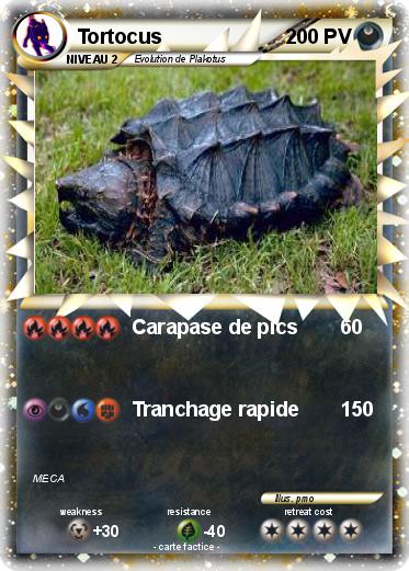 Pokemon Tortocus
