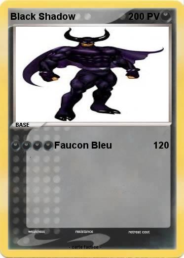Pokemon Black Shadow
