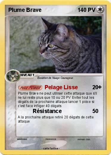 Pokemon Plume Brave