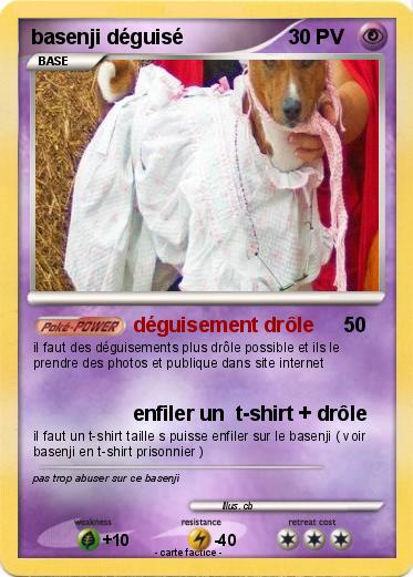 Pokemon basenji déguisé