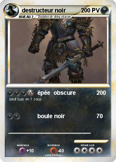 Pokemon destructeur noir