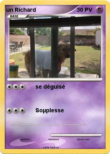 Pokemon un Richard