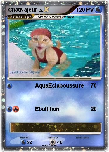 Pokemon ChatNajeur
