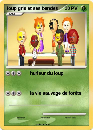 Pokemon loup gris et ses bandes