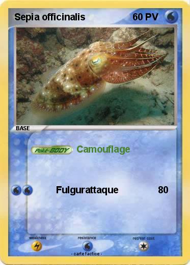 Pokemon Sepia officinalis