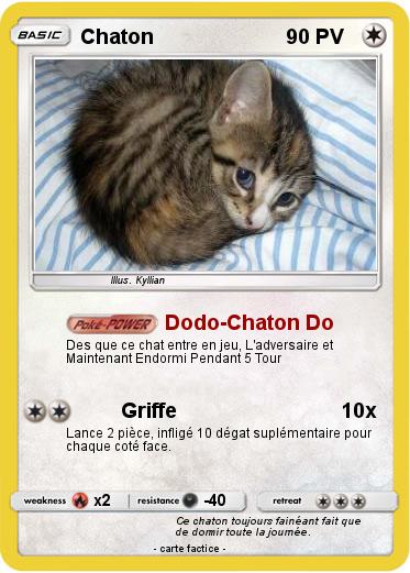 Pokemon Chaton