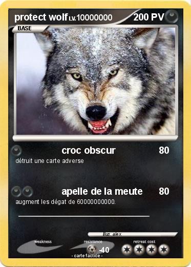 Pokemon protect wolf