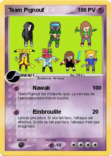 Pokemon Team Pignouf