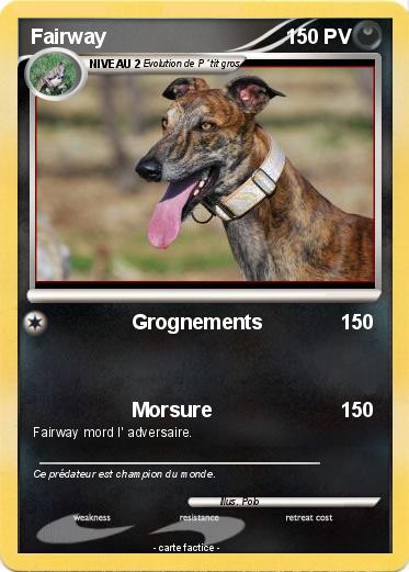 Pokemon Fairway