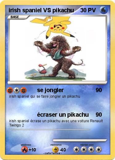 Pokemon irish spaniel VS pikachu