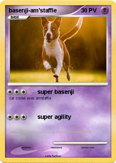 Pokemon basenji-am'staffie