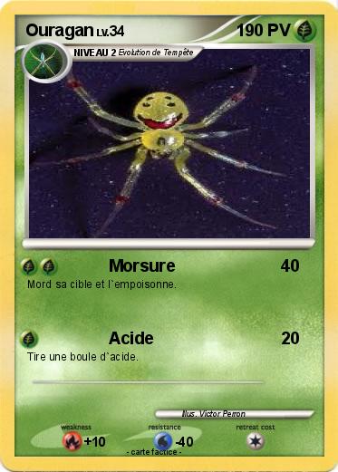 Pokemon Ouragan