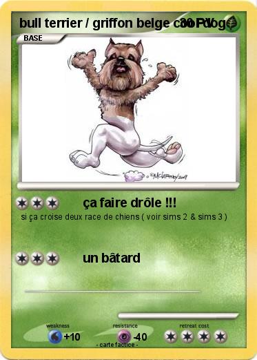 Pokemon bull terrier / griffon belge cool dog