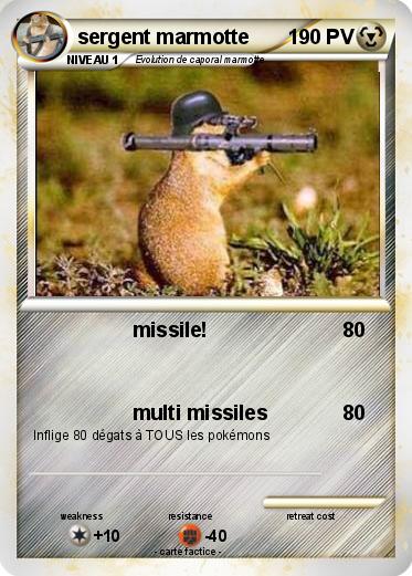 Pokemon sergent marmotte