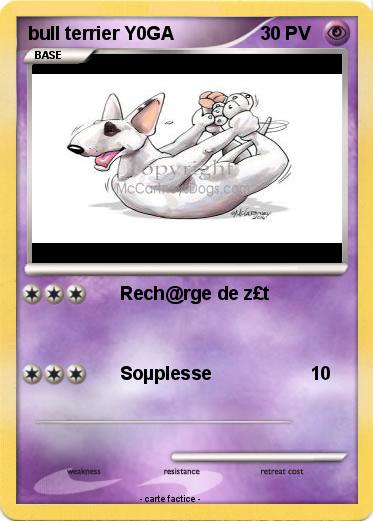 Pokemon bull terrier Y0GA