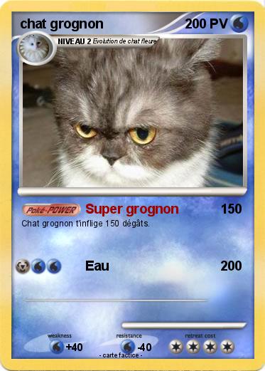 Pokemon chat grognon
