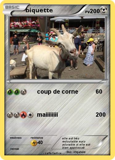 Pokemon biquette