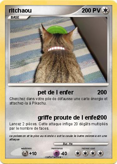 Pokemon ritchaou