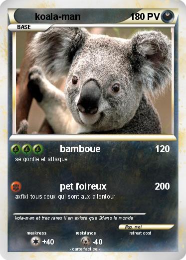 Pokemon koala-man