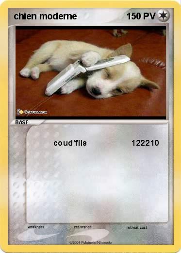 Pokemon chien moderne