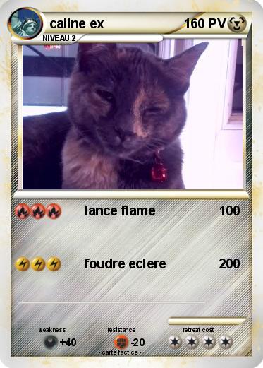 Pokemon caline ex