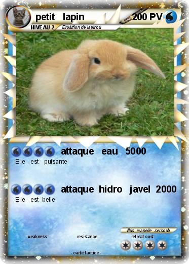 Pokemon petit   lapin