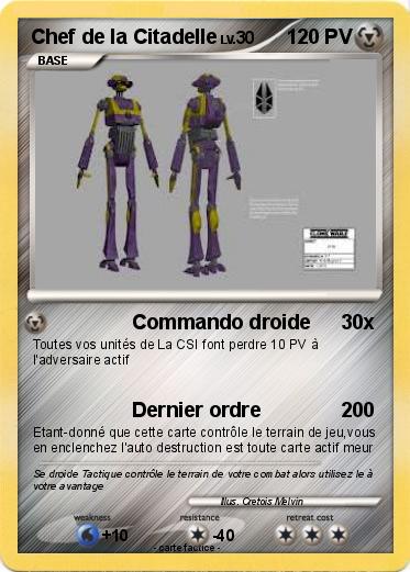 Pokemon Chef de la Citadelle