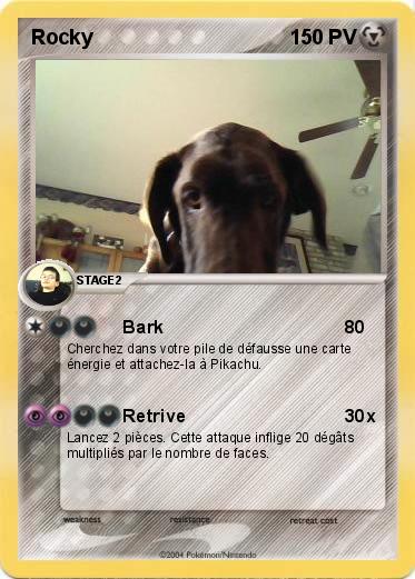 Pokemon Rocky
