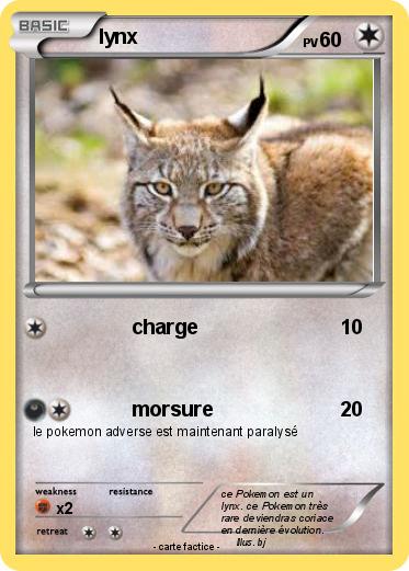 Pokemon lynx