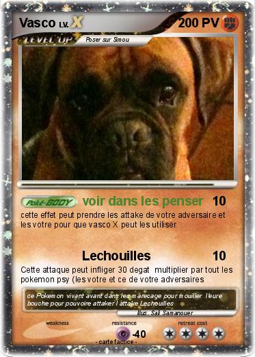 Pokemon Vasco