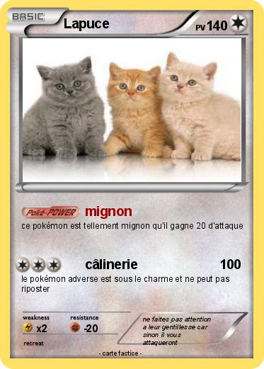 Pokemon Lapuce
