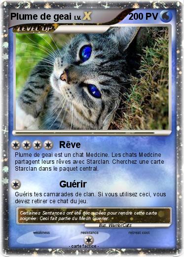 Pokemon Plume de geai