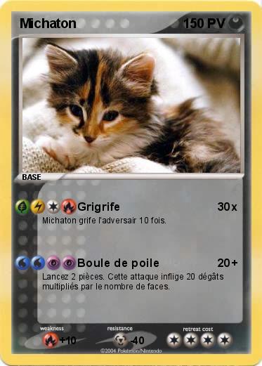 Pokemon Michaton
