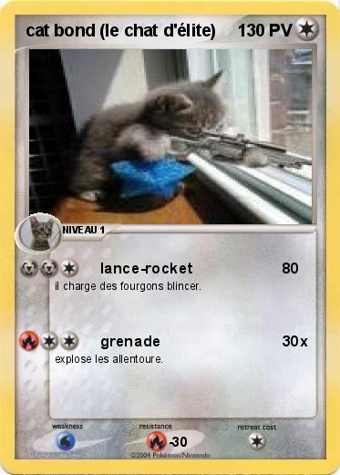 Pokemon cat bond (le chat d'élite)