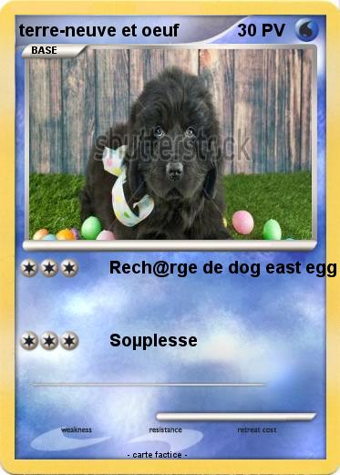 Pokemon terre-neuve et oeuf