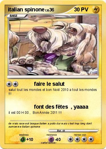 Pokemon italian spinone