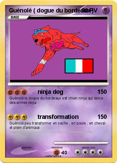 Pokemon Guénolé ( dogue du bordeaux )