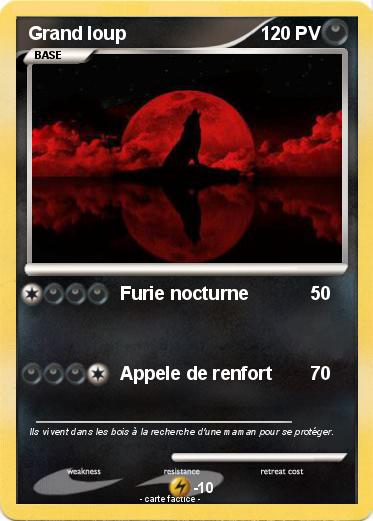 Pokemon Grand loup