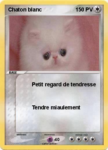 Pokemon Chaton blanc