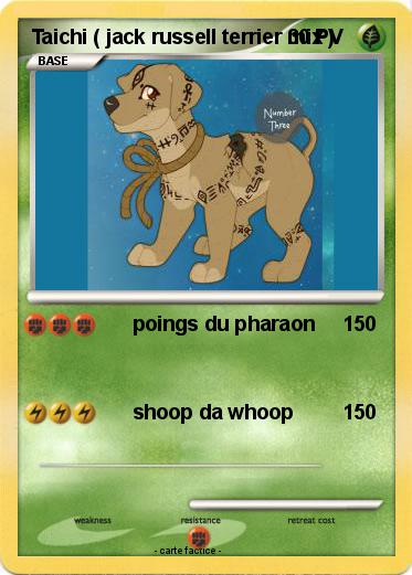 Pokemon Taichi ( jack russell terrier mix )