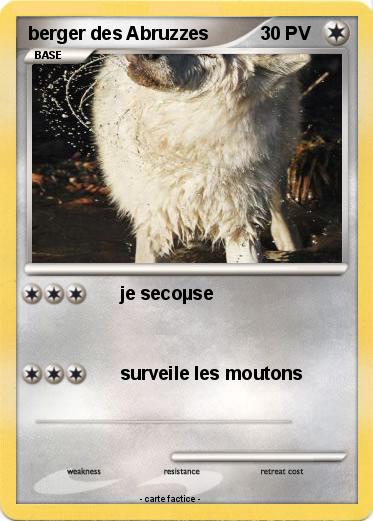 Pokemon berger des Abruzzes