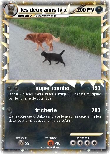 Pokemon les deux amis lv x