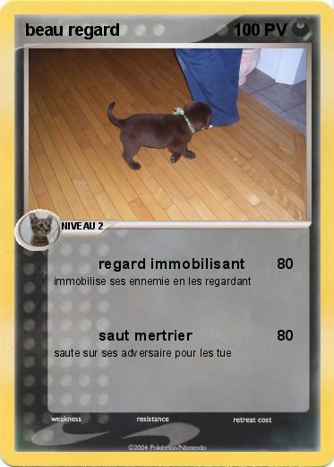 Pokemon beau regard