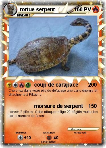 Pokemon tortue serpent