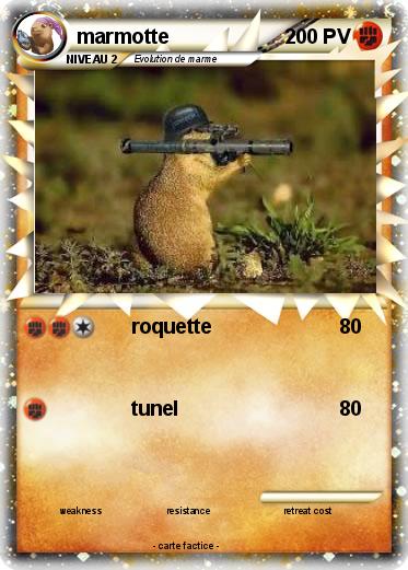 Pokemon marmotte