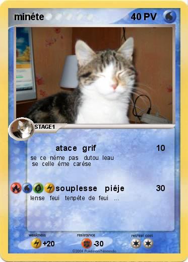Pokemon minéte  